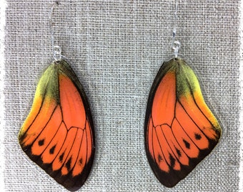Real Butterfly Wing Jewelry; Butterfly Wing Earrings; Orange and Black Earrings; Boho Chic Earrings; Insect Jewelry; Butterfly TOP Wing