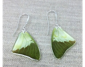 Real Butterfly Wing Jewelry; Butterfly Wing Earrings; Bright Green Earrings; Boho Chic Earrings; nature jewelry; insect; Butterfly TOP Wing