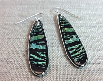 Real Butterfly Jewelry, Real Butterfly Earrings, butterfly wings, butterfly, hand cut wing earrings; LONG TEARDROP; Iridescent, Sunset moth