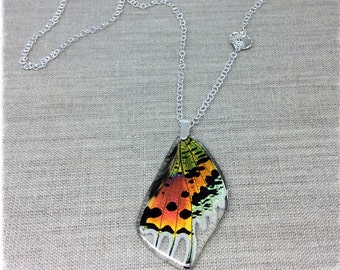 Real Butterfly Wing Jewelry; Sterling Silver Butterfly Necklace; Sun Set Moth; Statement Necklace; Rainbow Butterfly Wing;  Insect Jewelry