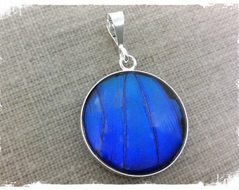 Véritable bijou d’aile de papillon, papillon bijoux, Morpho bleu, papillon aile pendentif, bijoux insecte, insecte bijoux