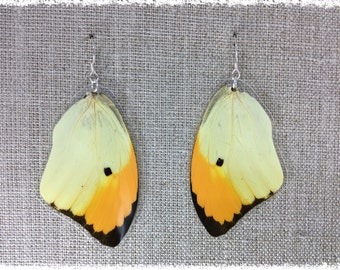 Real Butterfly Wing Jewelry; Butterfly Wing Earrings; Yellow Orange Black Earrings; Boho Chic Earrings; Insect Jewelry; Butterfly TOP Wing