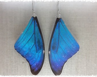 Real Butterfly Wing Jewelry; Butterfly Earrings; Electric Blue and Black; LARGE; Insect NatureJewelry; Iridescent; Blue Morpho; TOP Wing