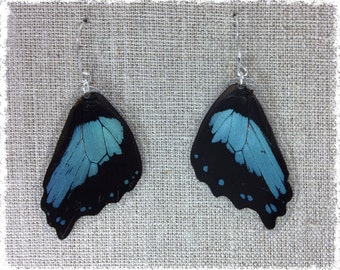 Real Butterfly Wing Jewelry; Butterfly Wing Earrings; Teal Gold Earrings; Boho Chic Earrings; Nature Jewelry; Insect; Butterfly HIND Wing