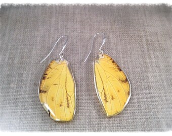 Real Butterfly Wing Jewelry; Statement Earrings; Insect Jewelry; Butterfly Earrings; Yellow; Black; Hand cut; Unique Jewelry