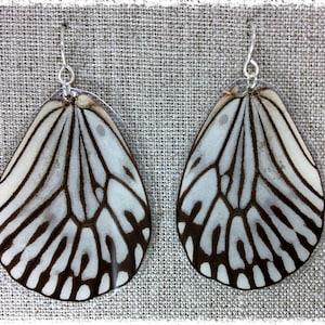 Real Butterfly Wing Earrings; Butterfly Wing Jewelry; Butterfly Earrings; Transparent; Cream White and Black; HIND Wing