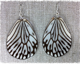 Real Butterfly Wing Earrings; Butterfly Wing Jewelry; Butterfly Earrings; Transparent; Cream White and Black; HIND Wing