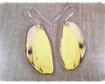 Real Butterfly Wing Jewelry; Statement Earrings; Insect Jewelry; Butterfly Earrings; Yellow; Black; Hand cut; Unique Jewelry