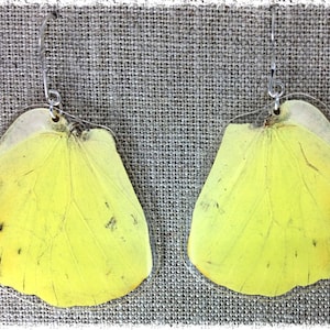 Real Butterfly Wing Jewelry; Statement Earrings; Insect Jewelry; Butterfly Earrings; Yellow; Black; Gift Idea; Unique Jewelry