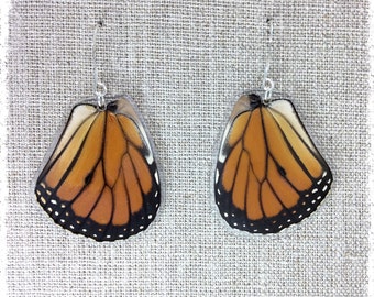Real Butterfly Earrings; Monarch Earrings; Orange and Black; Boho Chic Earrings; Insect Jewelry; HIND wing