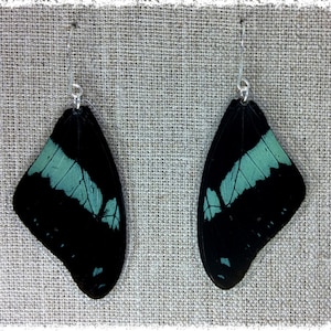 Real Butterfly Wing Jewelry; Butterfly Wing Earrings; Teal Gold Earrings; Boho Chic Earrings; Nature Jewelry; Insect; Butterfly TOP Wing