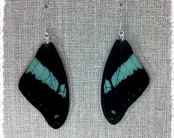 Real Butterfly Wing Jewelry; Butterfly Wing Earrings; Teal Gold Earrings; Boho Chic Earrings; Nature Jewelry; Insect; Butterfly TOP Wing