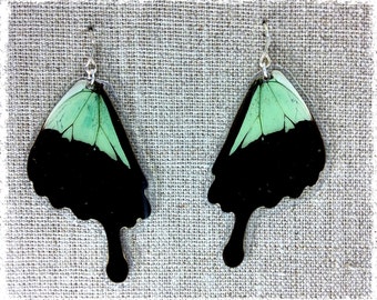 Real Butterfly Wing Jewelry; Butterfly Wing Earrings; Mint Green Earrings; Boho Chic Earrings; nature jewelry; insect; Butterfly HIND Wing