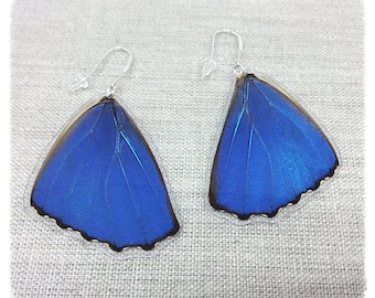 Real Butterfly Wing Jewelry; Butterfly Earrings; Electric Blue and Black; Insect NatureJewelry; Large; Iridescent; Blue Morpho; HIND Wing