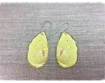 Real Butterfly Wing Jewelry; Butterfly Wing Earrings; Handmade Butterfly Jewelry; Yellow; Sterling Boho Earrings; Insect Jewelry; HIND Wing