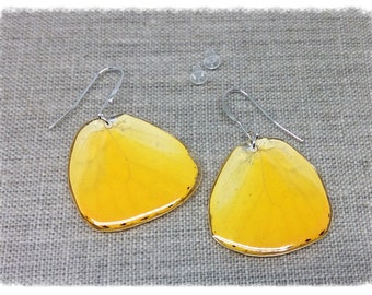 Real Butterfly Wing Jewelry; Butterfly Wing Earrings; Orange; Apricot; Butterfly Earrings; nature jewelry; insect; Butterfly HIND Wing