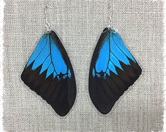 Real Butterfly Wing Jewelry; Butterfly Wing Earrings; Blue; Blue Emperor Swallowtail; Cobalt Blue; Insect Jewelry; TOP Wing