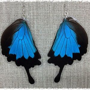 Real Butterfly Wing Jewelry; Butterfly Wing Earrings; Blue; Blue Emperor Swallowtail; Cobalt Blue; Insect Jewelry; HIND Wing