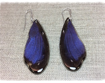 Real Butterfly Wing Jewelry- Earrings- Long Teardrop-Electric Blue and Black- Insect NatureJewelry-Iridescent- Blue Morpho- Cut TOP Wing
