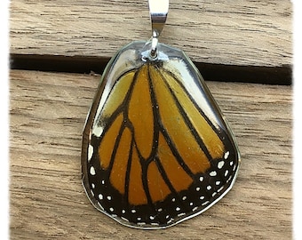 Real Butterfly Wing Jewelry; Monarch Jewelry; Monarch Jewelry; HIND wing; Butterfly Pendant; Sterling Silver Pendant; Insect Jewelry