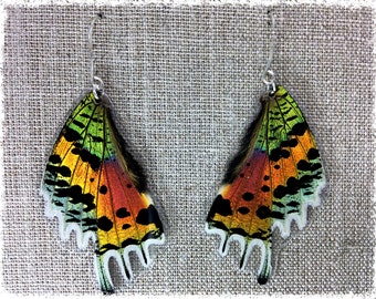 Real Butterfly Jewelry, Butterfly Earrings, butterfly wings, moth jewelry,  Iridescent,  Rainbow, sunset moth