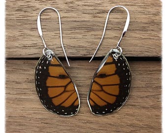 Real Butterfly Wing Jewelry - Earrings - Monarch- Handcut Teardrop-Orange and Black- Handmade- Hind Wing- Insect Jewelry