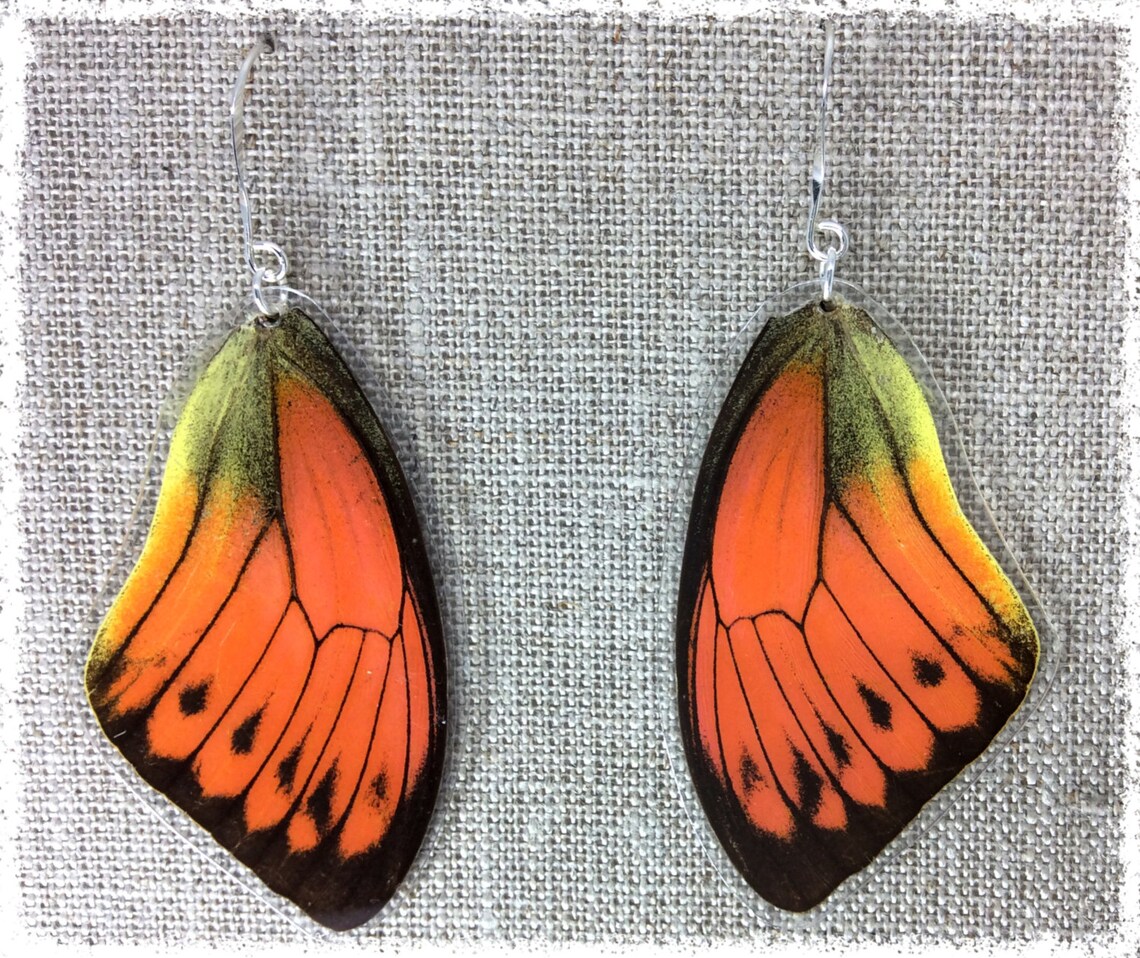 Real Butterfly Wing Jewelry Butterfly Wing Earrings Orange Etsy