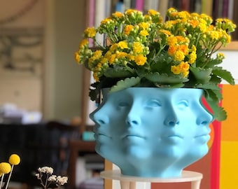 3D Printed Polyface Planter