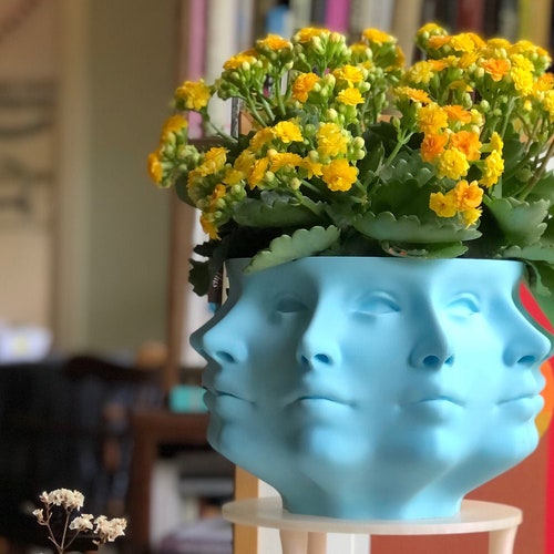3D Printed Polyface Planter