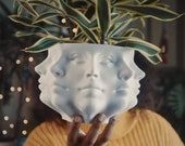 3D Printed Polyface Planter
