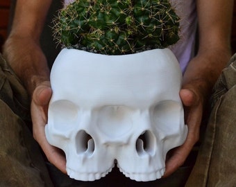 The Triclops Skull Planter