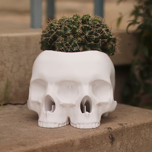 The Triclops Skull Planter image 3