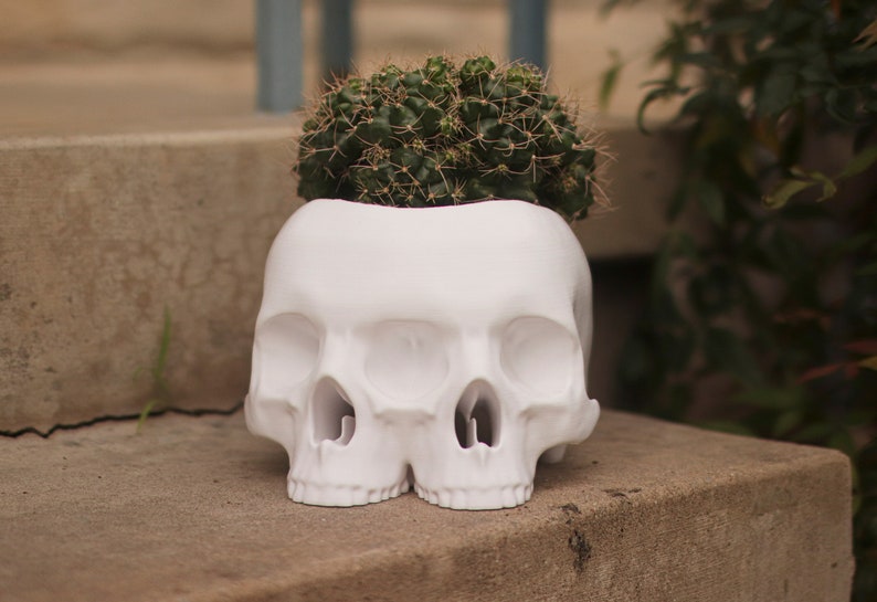 The Triclops Skull Planter image 3