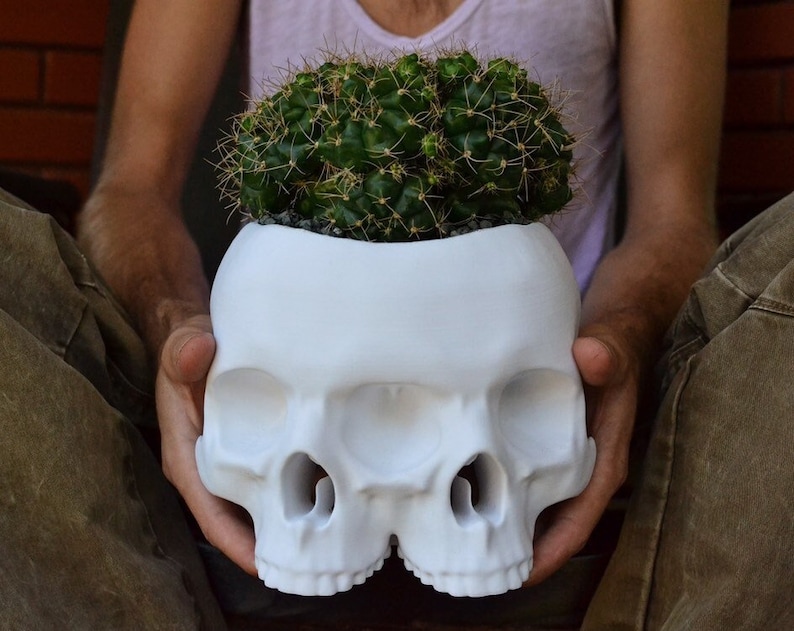 The Triclops Skull Planter image 1