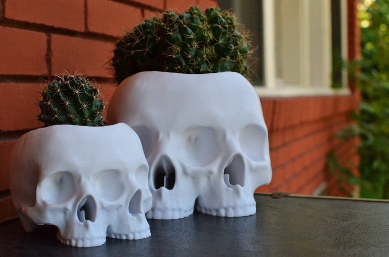 The Triclops Skull Planter image 2