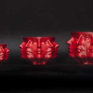 The Original Polyface Planter Ltd Ed Crimson Red