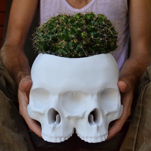 3D Printed Triclops Skull Planter