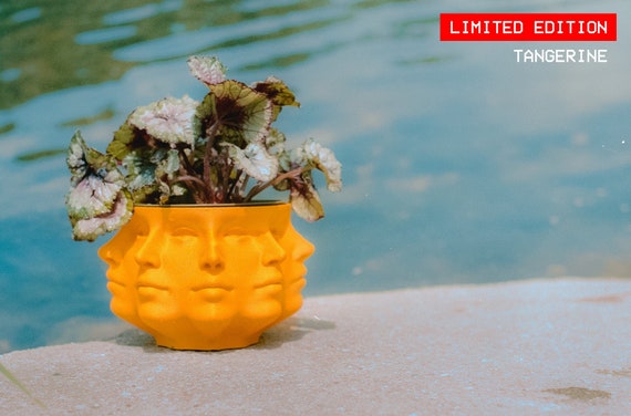 3D Printed Polyface Planter