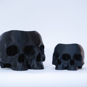 The Triclops Skull Planter image 7
