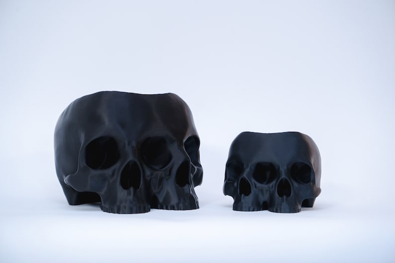 The Triclops Skull Planter image 7