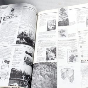 K&ouml;nnte beinhalten: Offenes Buch mit Schwarz-Wei&szlig;-Illustrationen und Text. Die linke Seite zeigt oben "CHAINSAWS & MILLS". Die rechte Seite hat oben "TREES". Zu den Bildern geh&ouml;ren B&auml;ume, Maschinen und ein Newsletter mit dem Titel "THE RISING SUN NEIGHBORHOOD NEWSLETTER."