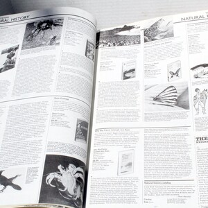 K&ouml;nnte beinhalten: Ein offenes Buch mit Seiten mit Illustrationen und Text. Die Seiten stammen aus einer Publikation mit dem Titel "Natural History" und enthalten Bilder von Tieren, Insekten und Landschaften. Der Text ist klein und detailliert.