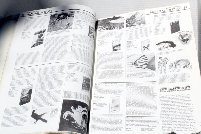 K&ouml;nnte beinhalten: Ein offenes Buch mit Seiten mit Illustrationen und Text. Die Seiten stammen aus einer Publikation mit dem Titel "Natural History" und enthalten Bilder von Tieren, Insekten und Landschaften. Der Text ist klein und detailliert.