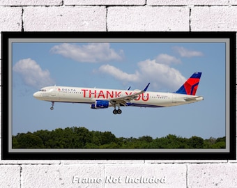 Delta Air Lines Airbus A321-211(WL) N391DN 10" x 20" Color Photograph (APPM10102)