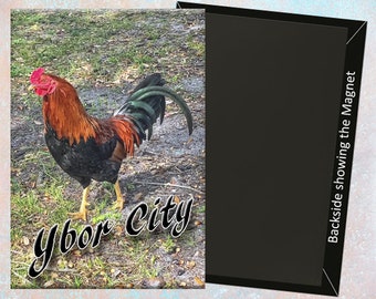 Ybor City Tampa Rooster Handmade 3.25" x 2.25" Fridge Magnet (PMD10013)