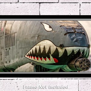 A-10 Warthog, Nose Close Up, 10" x 20" Color Photograph (APPM70003)