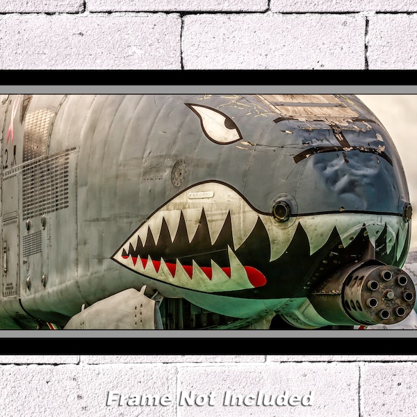 A-10 Warthog, Nose Close Up, 10" x 20" Color Photograph (APPM70003)