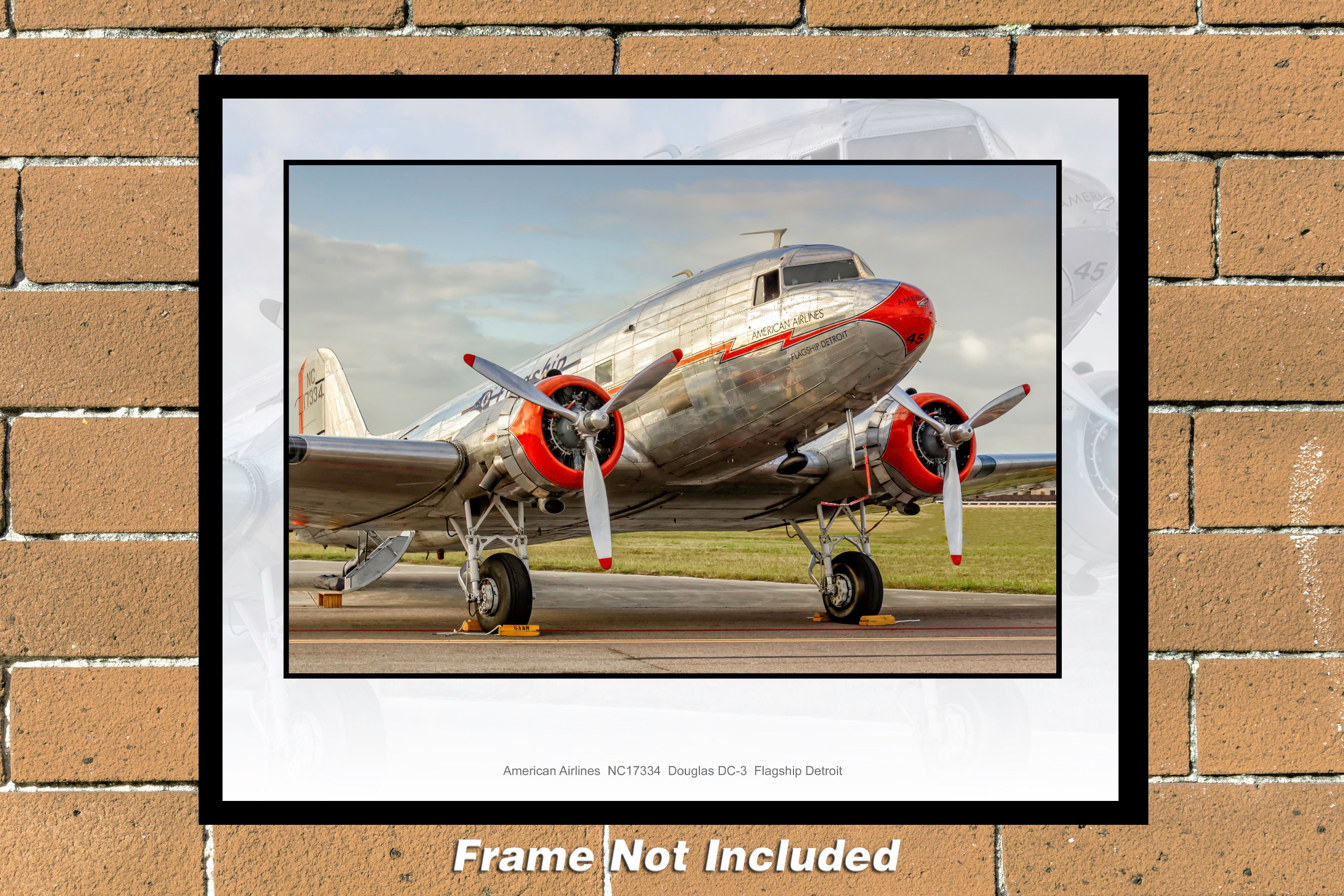 American Airlines DC-3 Flagship Detroit 11