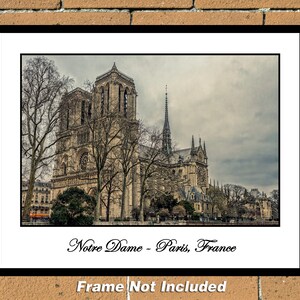 Notre Dame und Bäume 28 cm x 35 cm Farbfotografie (CDG171224005611x14)