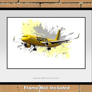 Spirit Airlines Airbus A321-231(WL) 11&quot; x 14&quot; Color Photograph (TA054LAJM)